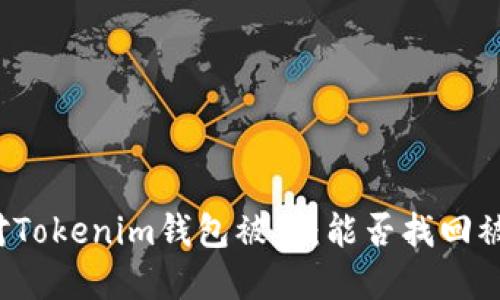 如何应对Tokenim钱包被盗:能否找回被盗资金?