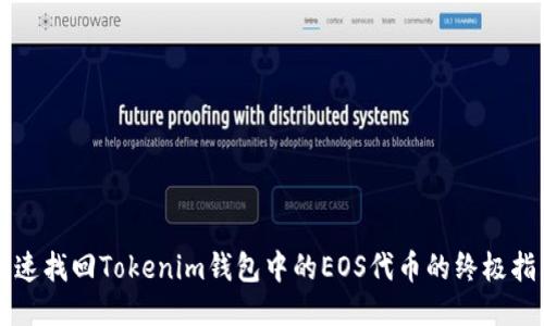 快速找回Tokenim钱包中的EOS代币的终极指南