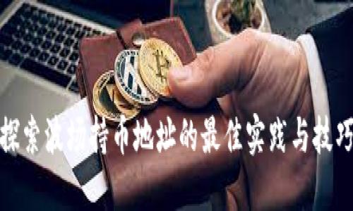 探索波场持币地址的最佳实践与技巧