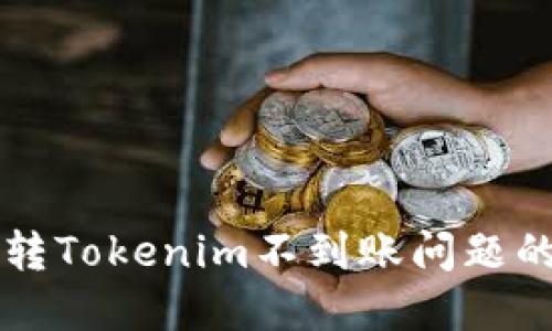解决火币转Tokenim不到账问题的详细指南