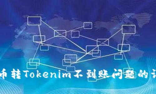 解决火币转Tokenim不到账问题的详细指南