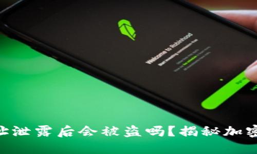 Tokenim地址泄露后会被盗吗？揭秘加密资产安全性