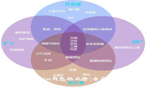 揭开Tokentokenim钱包的风险:全面测评与通关攻略