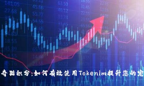 解密泰奇猫积分：如何有效使用Tokenim提升您的宠物体验