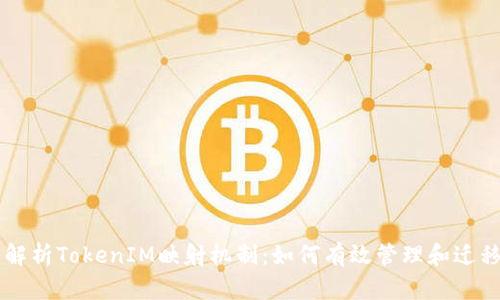 深入解析TokenIM映射机制：如何有效管理和迁移代币