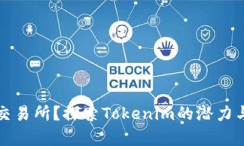 没有绑定交易所?探索Tokenim的潜力与解决方案