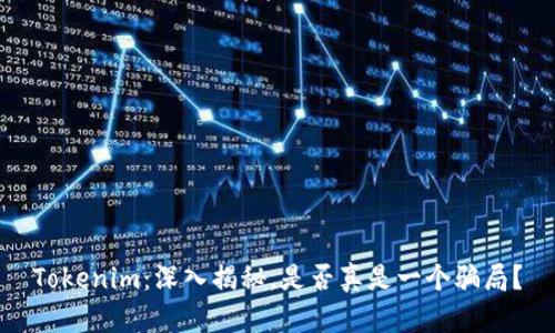 Tokenim：深入揭秘，是否真是一个骗局？
