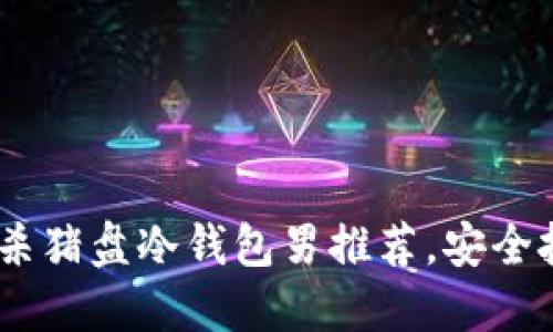 保护你的资产：杀猪盘冷钱包男推荐，安全投资从这里开始
