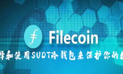 如何选择和使用SUDT冷钱包来保护你的数字资产