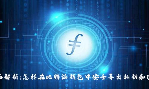 全面解析：怎样在比特派钱包中安全导出私钥和密码