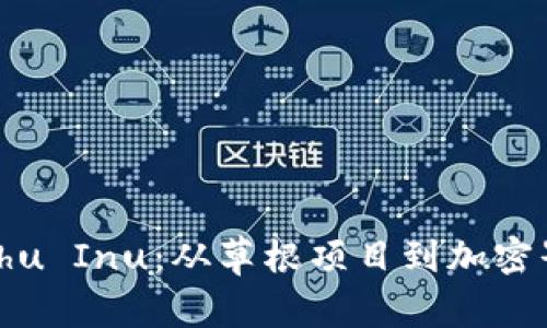 揭秘Kishu Inu：从草根项目到加密界的黑马
