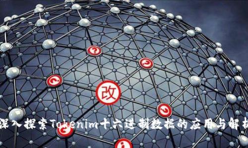 深入探索Tokenim十六进制数据的应用与解析
