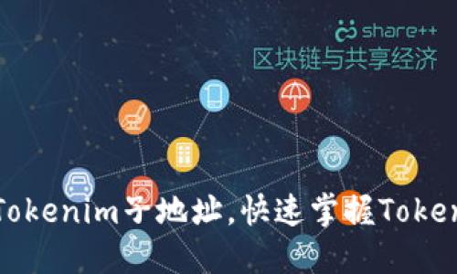 如何轻松找到Tokenim子地址，快速掌握Tokenim的使用技巧