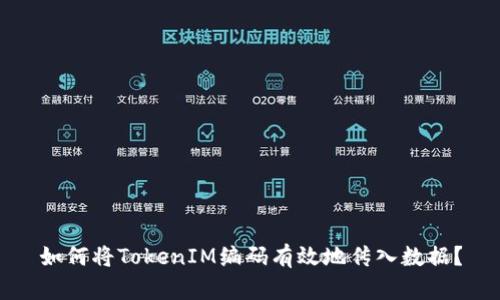 如何将TokenIM编码有效地传入数据？