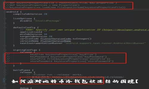 如何应对比特币冷钱包被冻结的困境？