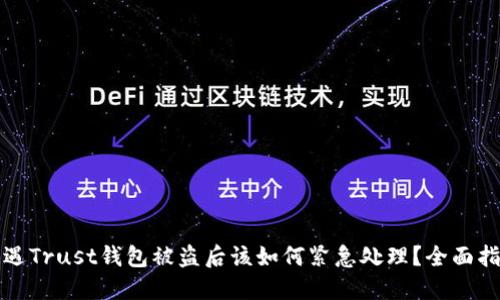 遭遇Trust钱包被盗后该如何紧急处理？全面指南