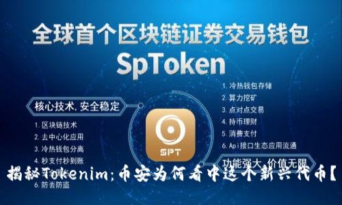 揭秘Tokenim：币安为何看中这个新兴代币？