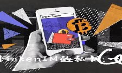 如何找到TokenIM的私钥：一步步指南