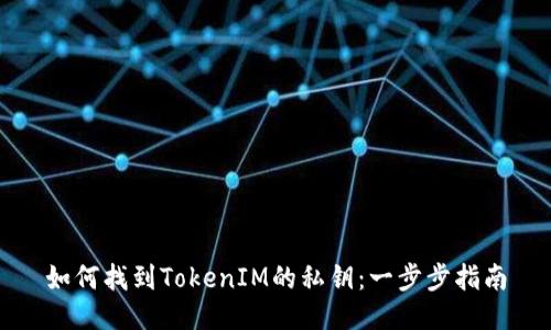 如何找到TokenIM的私钥：一步步指南