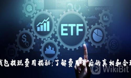 冷钱包提现费用揭秘：了解费用背后的真相和合理性