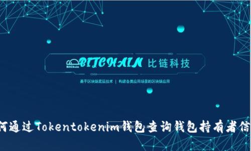 如何通过Tokentokenim钱包查询钱包持有者信息？