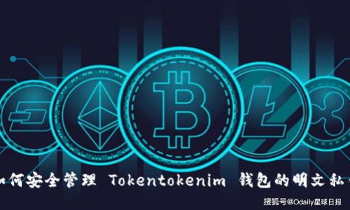 如何安全管理 Tokentokenim 钱包的明文私钥