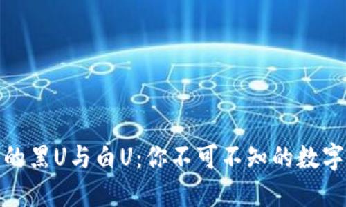 探秘冷钱包中的黑U与白U：你不可不知的数字资产安全秘密