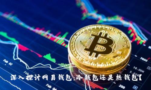 深入探讨网易钱包：冷钱包还是热钱包？