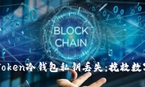 如何应对imToken冷钱包私钥丢失：挽救数字资产的指南