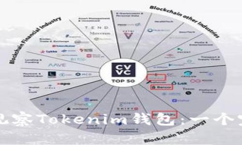 如何高效观察Tokenim钱包:一个完整的指南