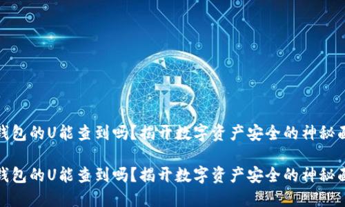 冷钱包的U能查到吗？揭开数字资产安全的神秘面纱

冷钱包的U能查到吗？揭开数字资产安全的神秘面纱