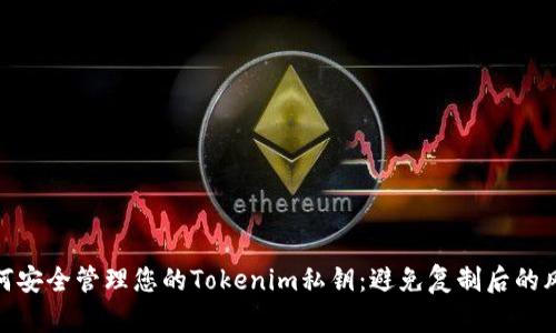 如何安全管理您的Tokenim私钥：避免复制后的风险