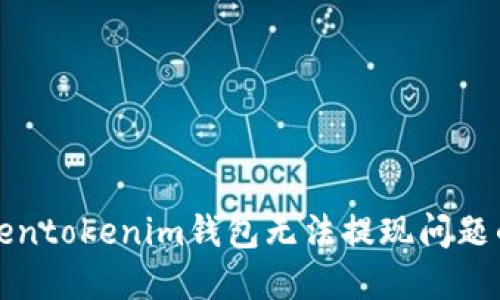 解决Tokentokenim钱包无法提现问题的全攻略