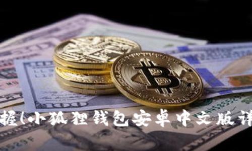 轻松掌握！小狐狸钱包安卓中文版详细教程