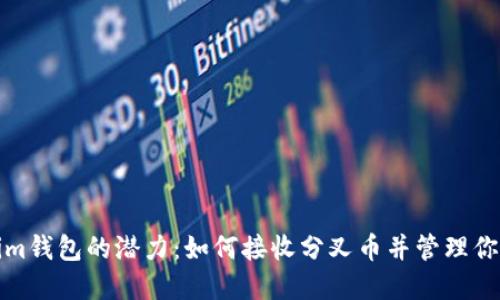 探索Tokenim钱包的潜力：如何接收分叉币并管理你的加密资产