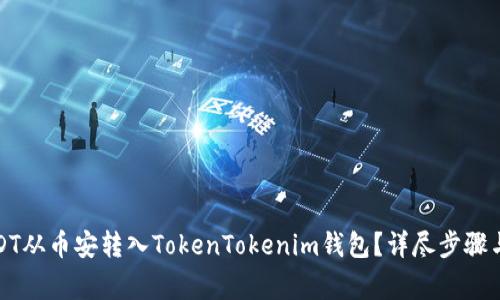 如何将USDT从币安转入TokenTokenim钱包？详尽步骤与注意事项