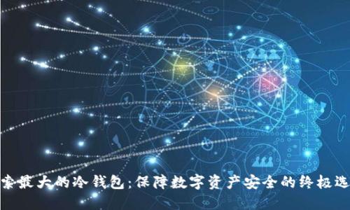 探索最大的冷钱包：保障数字资产安全的终极选择