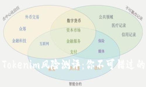 深入解析Tokenim风险测评：你不可错过的重要工具