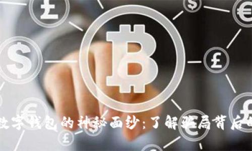 揭开数字钱包的神秘面纱：了解骗局背后的真相