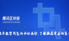 揭开数字钱包的神秘面纱：了解骗局背后的真相