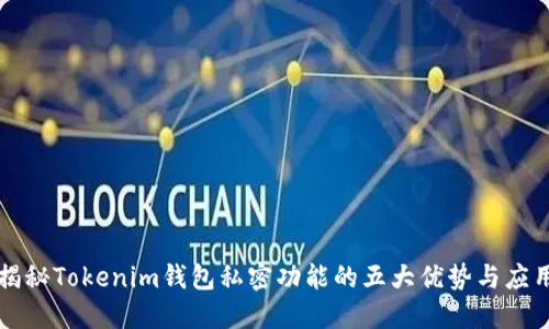 揭秘Tokenim钱包私密功能的五大优势与应用