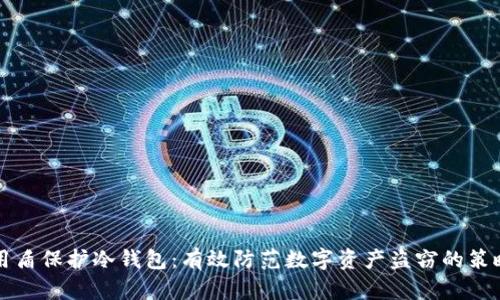 用盾保护冷钱包：有效防范数字资产盗窃的策略