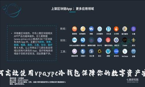 如何高效使用vpaypc冷钱包保障你的数字资产安全