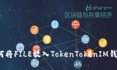 如何将FILE放入TokenTokenIM钱包？