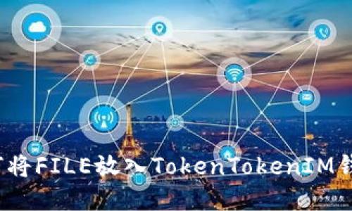 如何将FILE放入TokenTokenIM钱包？