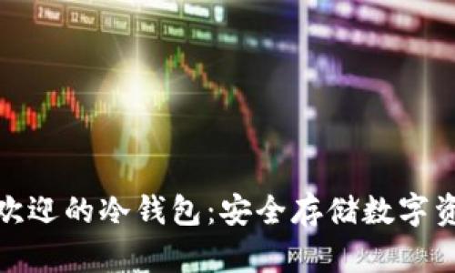 探索国内最受欢迎的冷钱包：安全存储数字资产的最佳选择