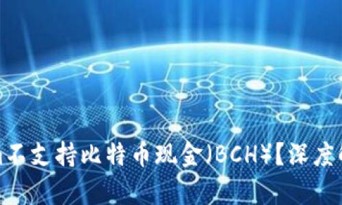 为什么Tokenim不支持比特币现金（BCH）？深度解析与用户影响