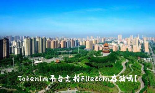 Tokenim平台支持Filecoin存储吗？