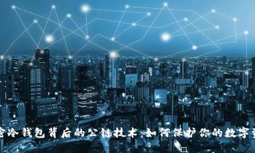 揭密冷钱包背后的公链技术：如何保护你的数字资产