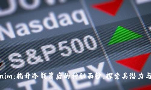 Tokenim：揭开冷钱背后的神秘面纱，探索其潜力与风险